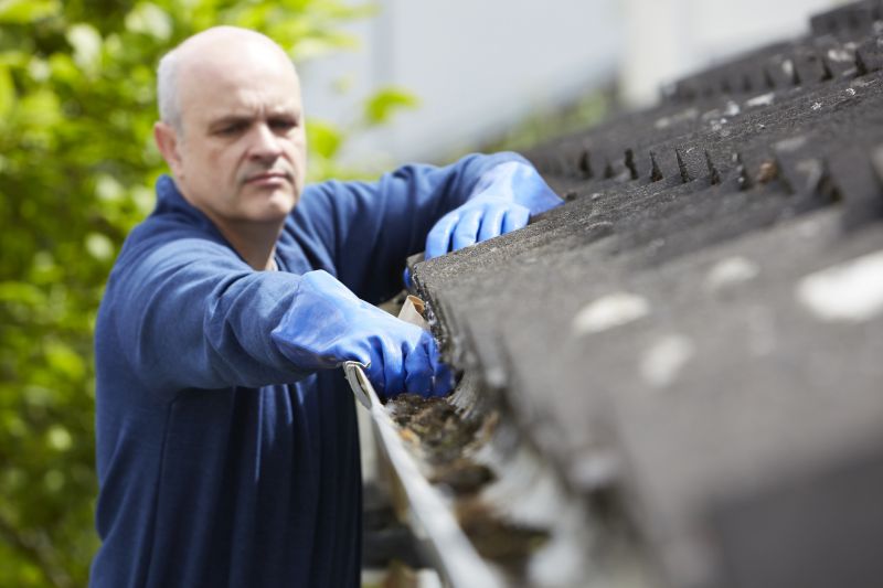Clean and Maintain Gutters