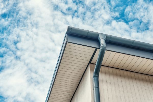 Gutter Fascia Repair in Columbia