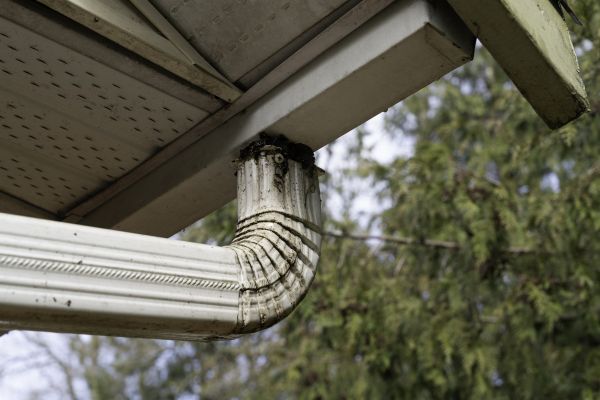Cost of Roof Drain Replacement in Columbia
