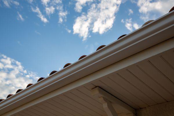 Cost of K Style Gutter Installation in Columbia